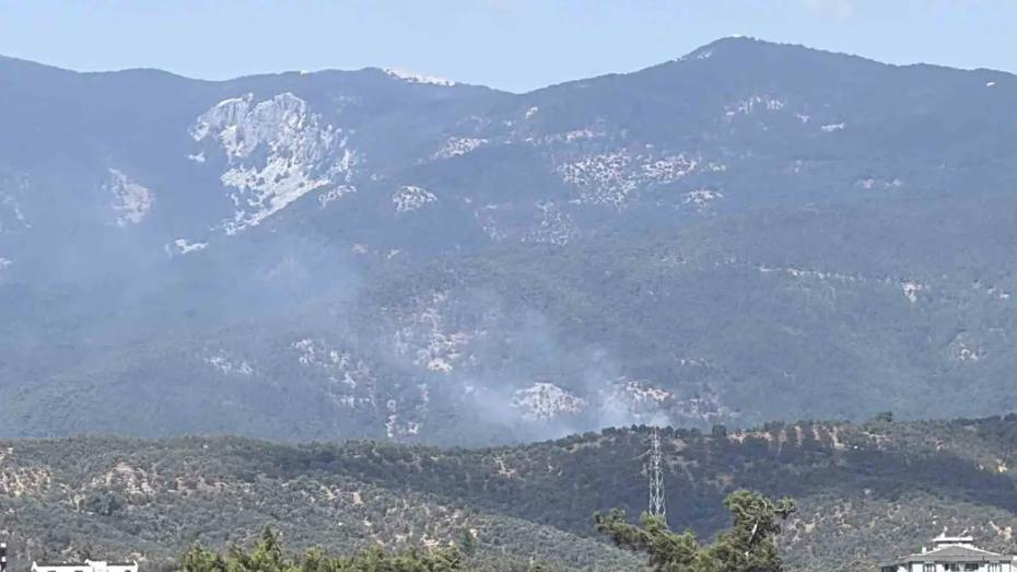 Kazdağı Milli Parkı'ndaki Orman Yangını Güvenlik Altında