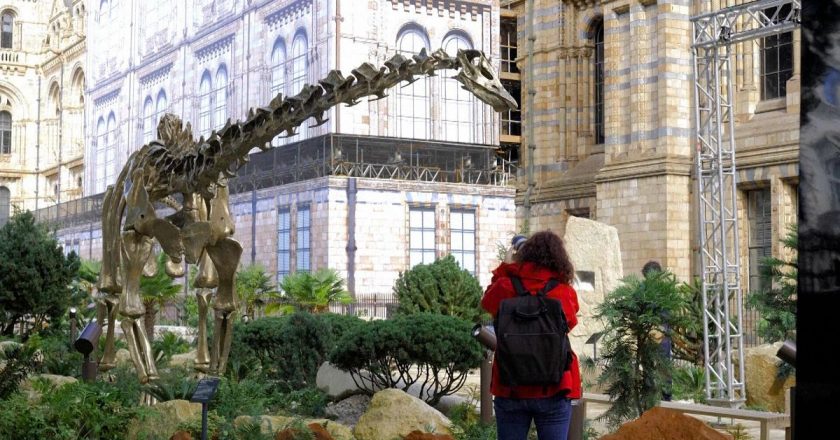 Dinozor eğrelti otu, Londra’daki Doğa Tarihi Müzesi’nin yenilenen bahçelerine yerleşti