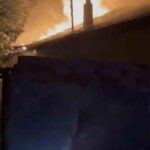 Borsada yangında 150 kanat öldü
