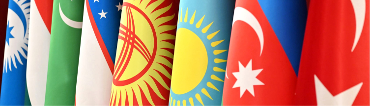 Başka bir yeni TNC statüsü: Gözlemci Türk Akademisi üyesi oldu