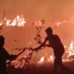 Korkmuş il sınırında hakkari-van arasındaki yangın