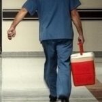 Büyük Ulusal Meclis Türkçe’de kabul edildi: Organ bağış süreçlerinde dönüşüm başlıyor! Organ bağış dönemi e-devlet aracılığıyla geliyor: bağışçıların akrabalara öncelik verecek …