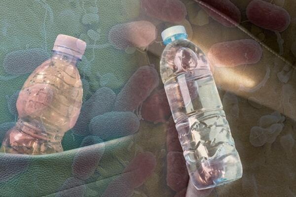 Sıcakta arabada unutulan su, sessiz bir tehdit! Kendinizi yenilemek istediğinizde hasta olmayın: Plastik şişeler kimyasal bir tehlike olabilir mi?