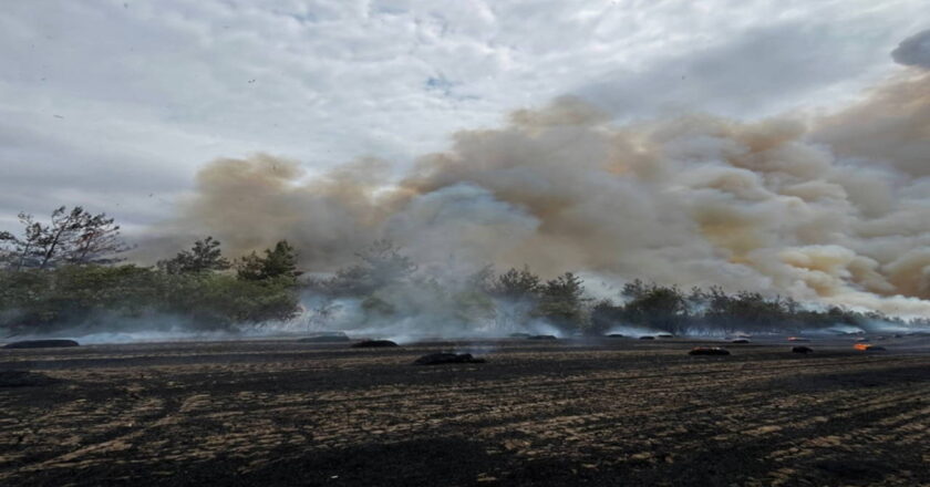 Son dakika … Bursa’da Orman Ateşi! – Türkiye haberlerini kırmak