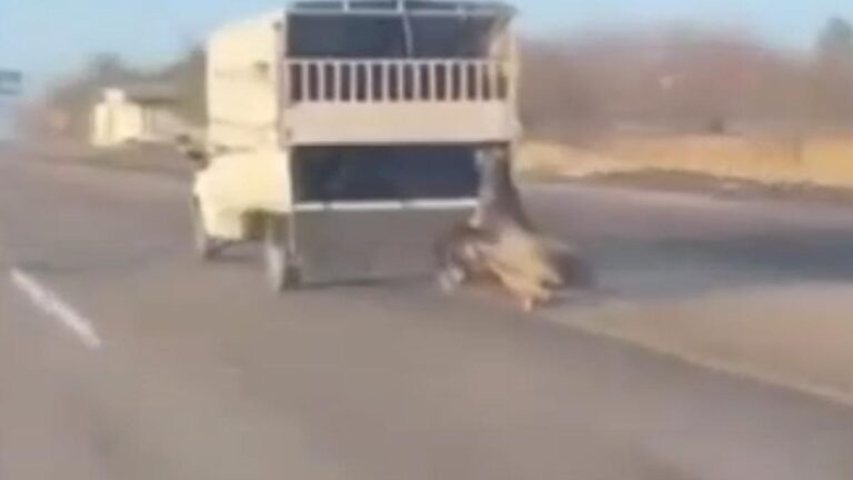 Kamyonun arkasına bağladığı atı dakikalarca sürükledi; O anlar kamerada